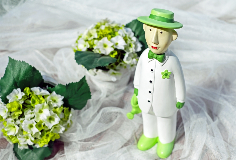 vitrine-LA CRAU-min_man-person-flower-green-toy-fig-546529-pxhere.com